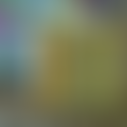 Les savons de Marseille