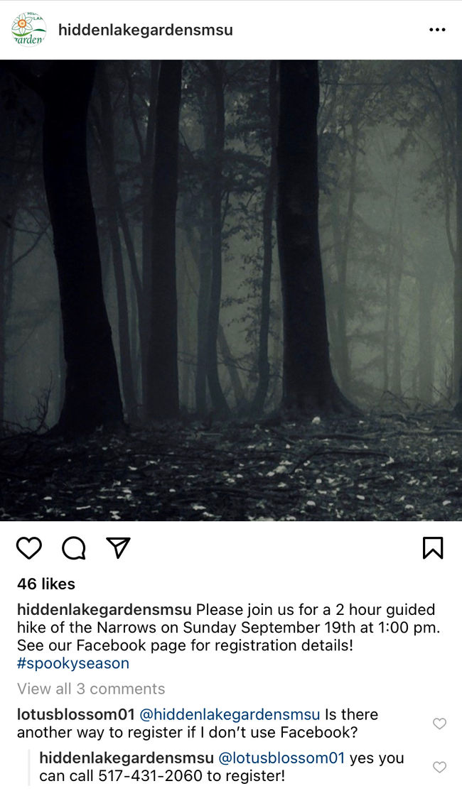 HLG IG 2.jpeg