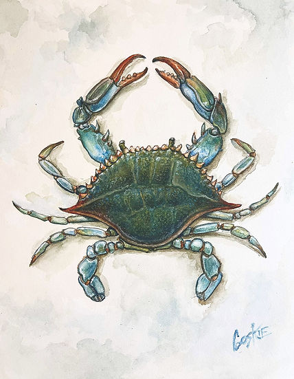 BlueCrab_WEB.jpg