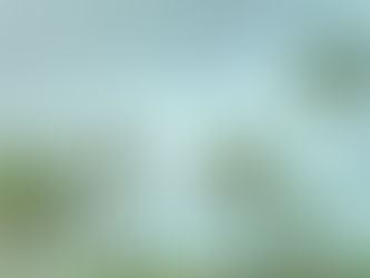 Raindrops on a window with blurred palm trees and a cloudy sky in the background create a serene, tropical vibe in Miami