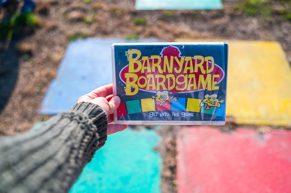 Barnyard Board Game