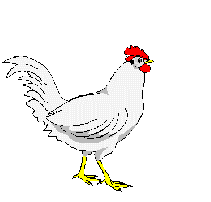 chicken.gif