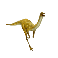 6bc4ae61a92861a6fd73a07ad3e18a46_w200.gif