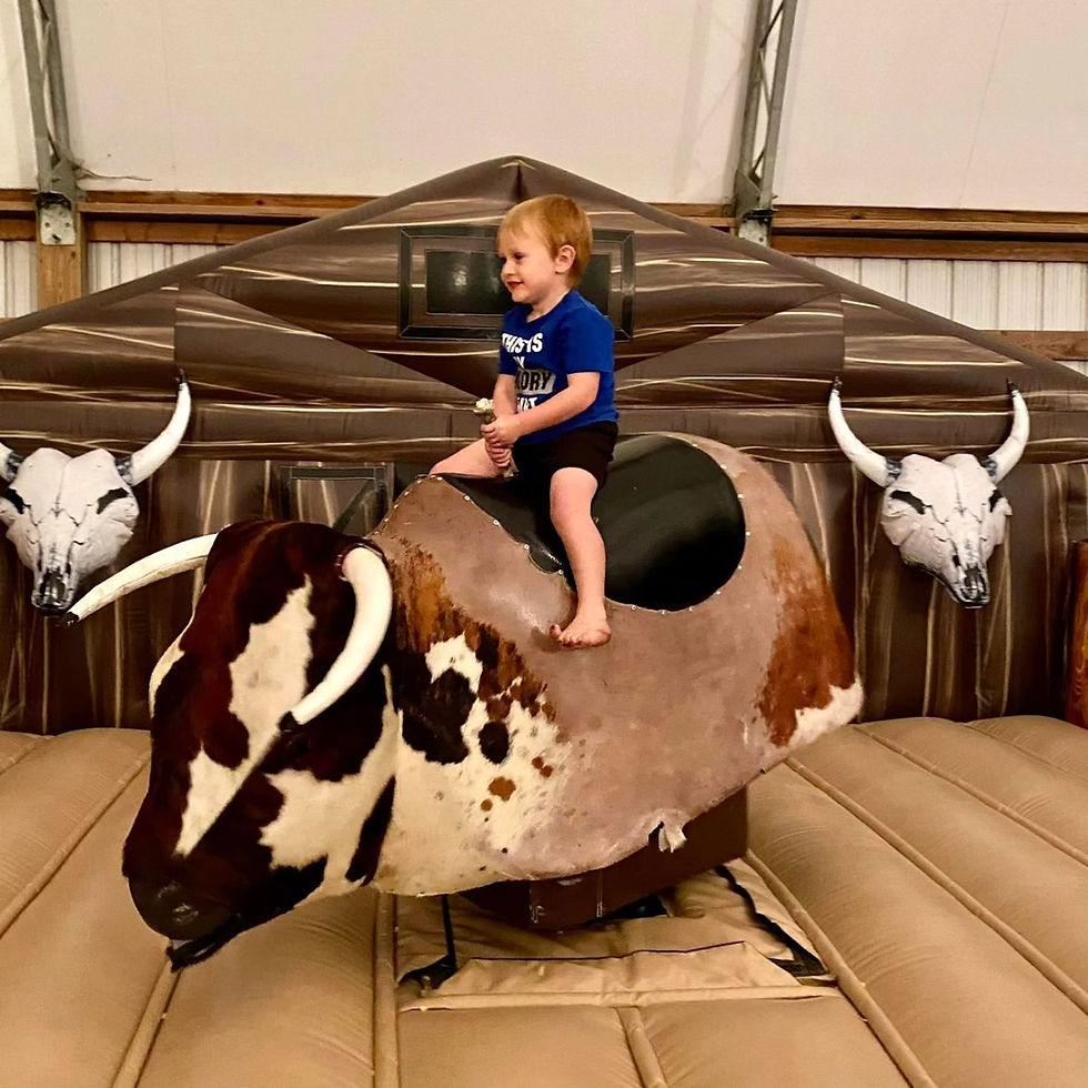 Mechanical Bull**