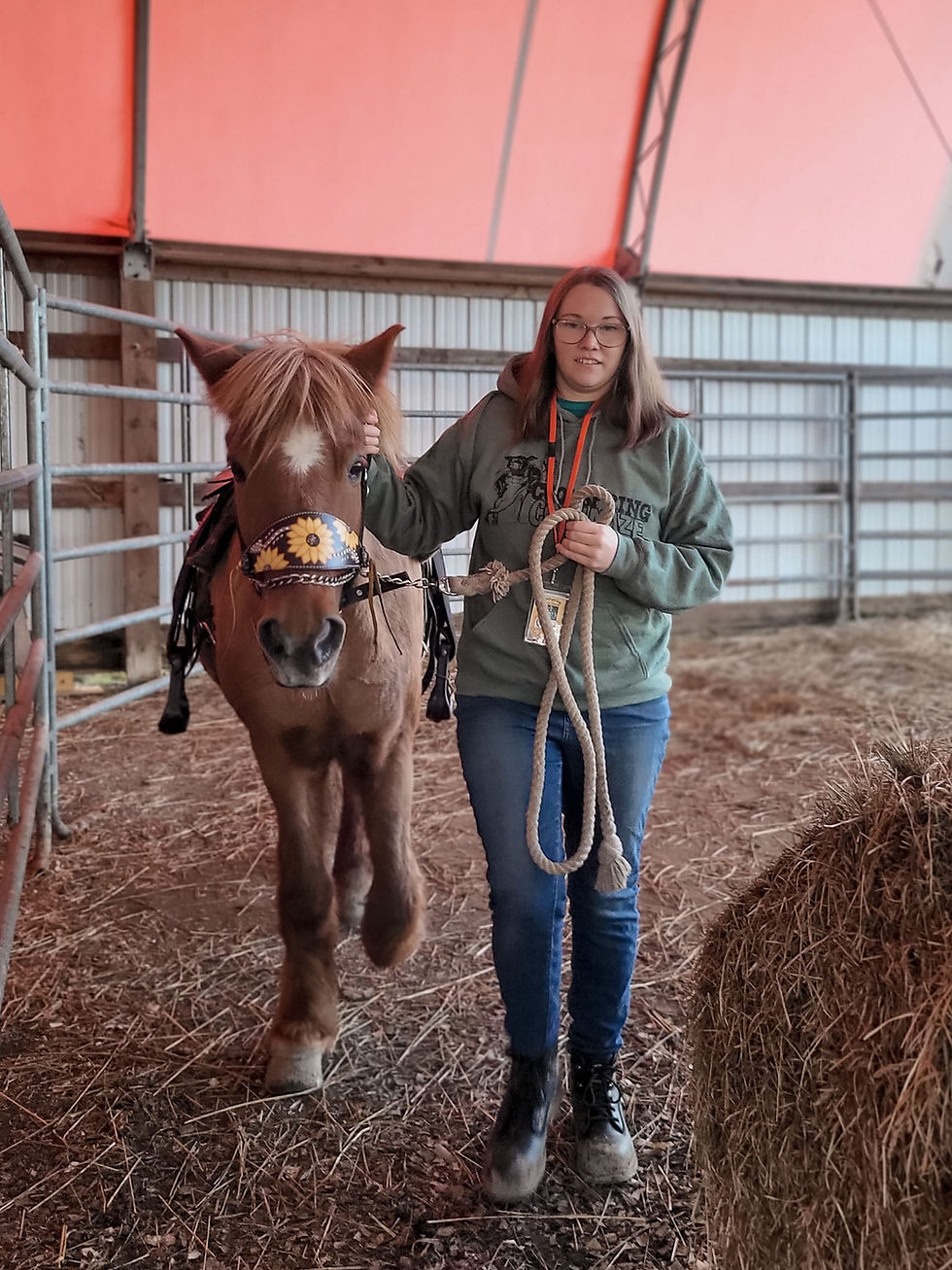 Pony Rides**
