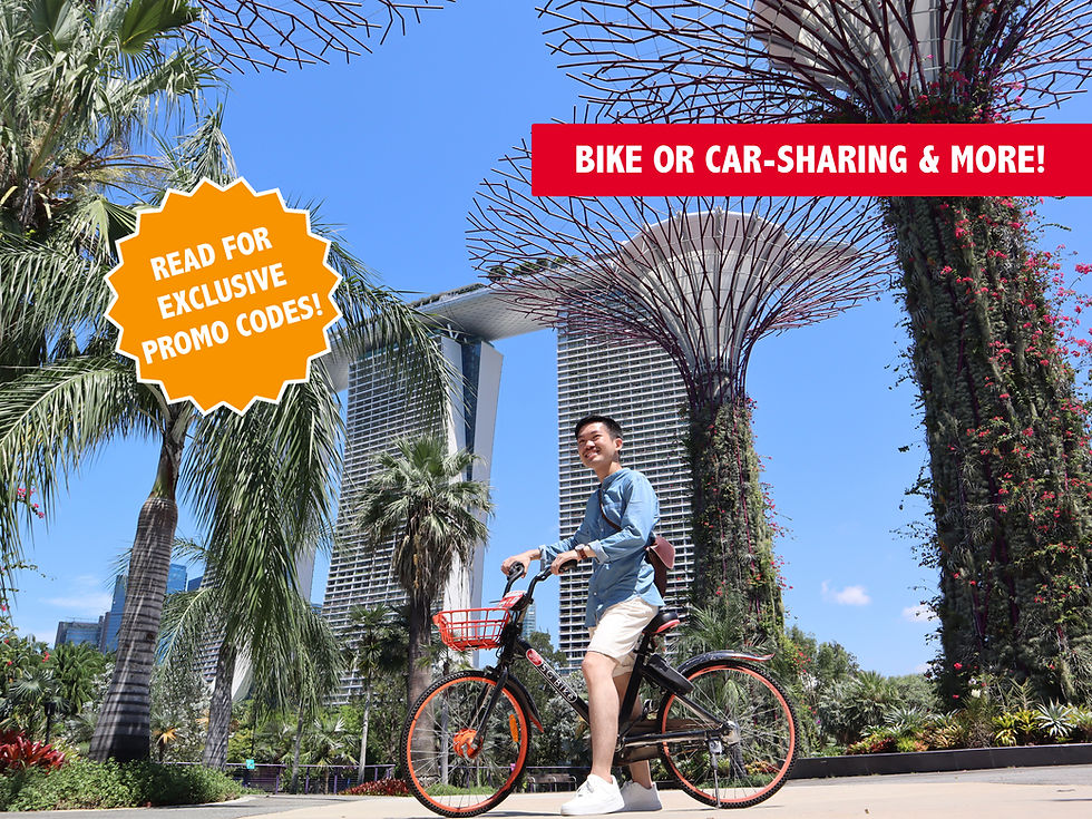 Guy cycling at Gardens by the Bay