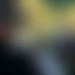 People on a boat with camera gear, viewing a monitor showing a scenic waterway. The setting is peaceful, with trees and calm water.