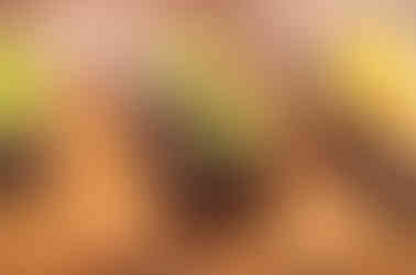 Close-up of chocolate squares with shiny green striped toppings, arranged on a wooden surface. Warm, inviting atmosphere.