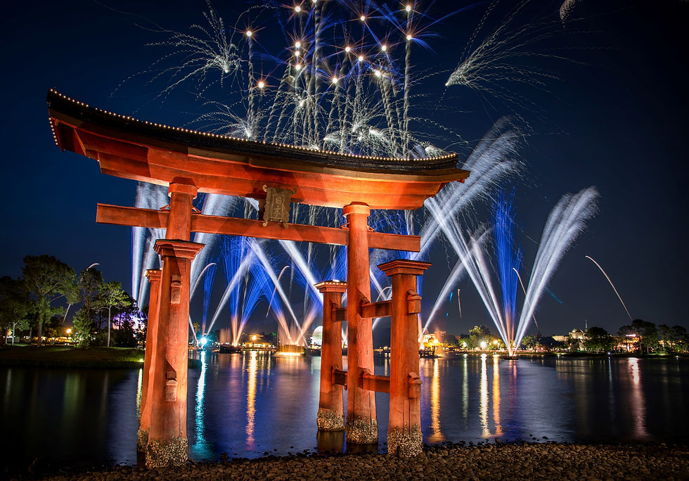 EPCOT Fireworks - Disney