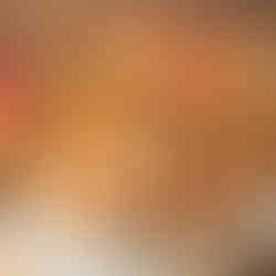 nacho bowl with beans, meat, cheese and tomatoes