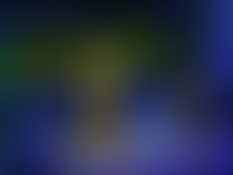 Behind The Seeds: Glimmering Greenhouses Tour Coming This Holiday Season