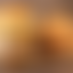 mexican inspired burger with french fries