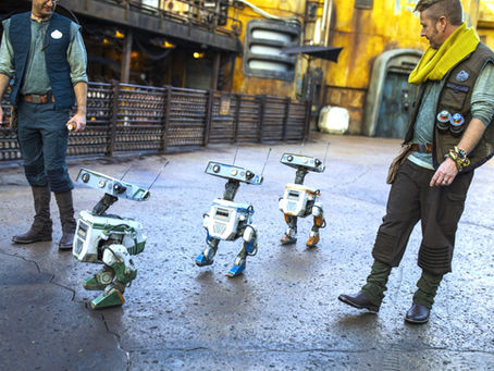 Two people interact with three small robots on a sunny, textured street. Background shows a metal fence and industrial buildings. These BDX droids will be in Star Wars: Galaxy's Edge at Hollywood Studios until August 30th. 