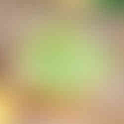 Green cupcake swirls in waffle cup, topped with lime slices and cream dollops, on wooden table. Bright and fresh mood.