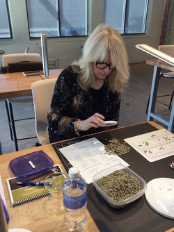 Each coffee bean passes a test.