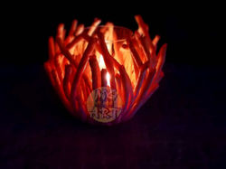 101496102_557237921833722_71930496034264