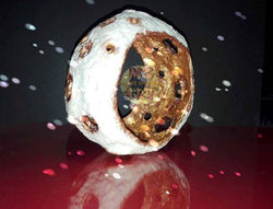 100632429_310410949972642_32494518682202