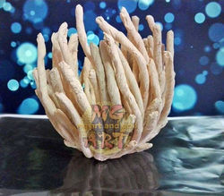 100620514_707599750051262_41957477747313