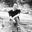 Writer: THE DREAMER MOM