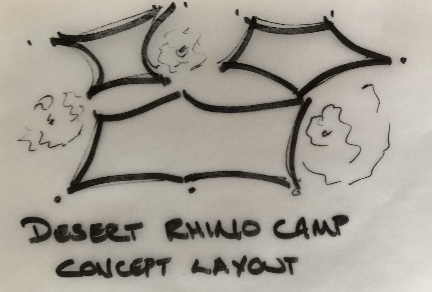 Desert Rhino Camp for Wilderness