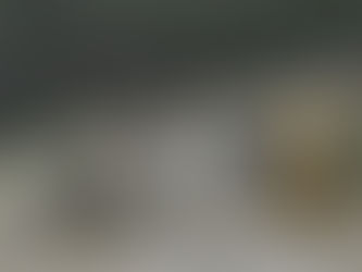 3월 24일 2020년 화요일 묵상