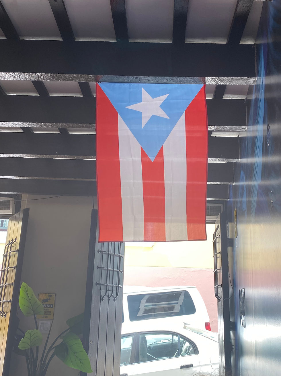 My Visit to Puerto Rico