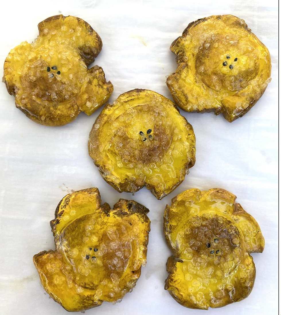Thumbnail: Tostones with Salt magnets