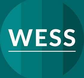 WomeninEconomicsStudentsSociety_logo_202