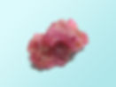 Pink Stone