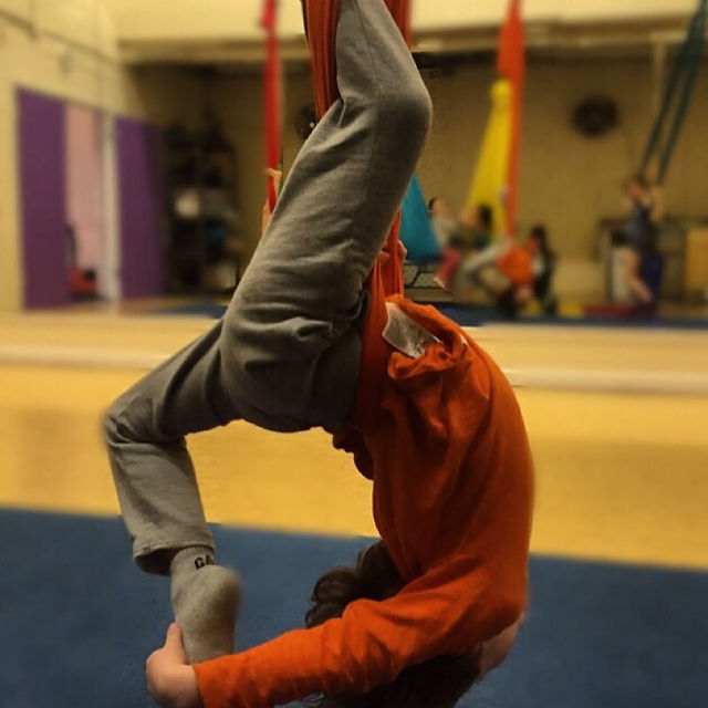 Circus Week