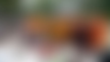 繡龍繡花，大違因果|警示人，應依法而行