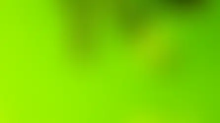 元宵花燈勵志人，法海傳燈弘道光