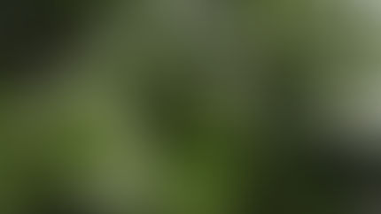 放下了，明師受戒，解行精進