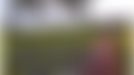 放下了，不犯威儀，學老實聽話