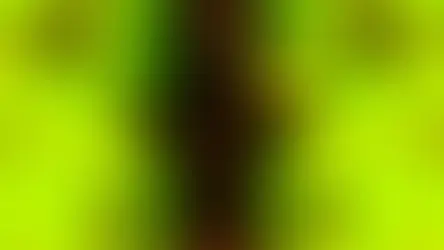 Sharing great love leads to freedom and happiness 大愛共享則自在安樂