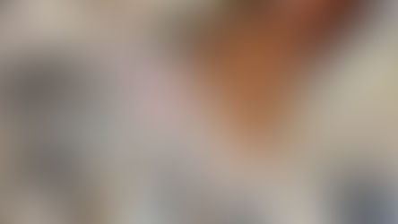 對境無心(二)~一念不生