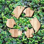 grenn and recycle.jpeg