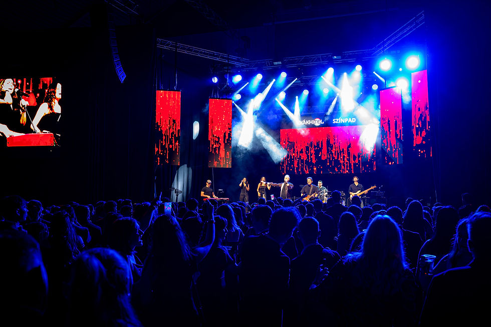 Bereczki Zoltán és a Parno Graszt fellépőként telitalálatnak bizonyult. (Fotó: Adorján András)