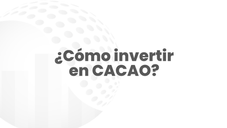 ¿Cómo invertir en cacao?