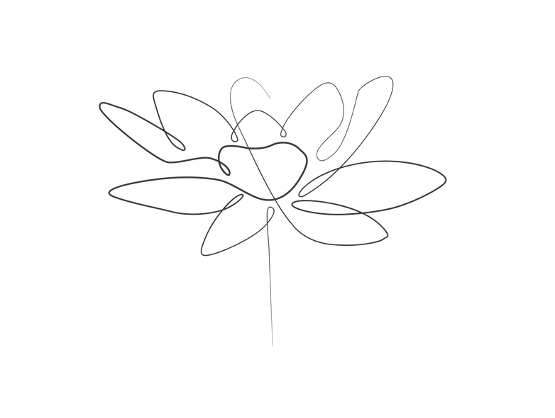 slower002_edited.png