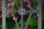 The Charm of Charleston History Tour