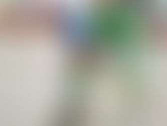 El Liceo frena les aspiracions del Caldes en una tarda complicada a la Torre Roja