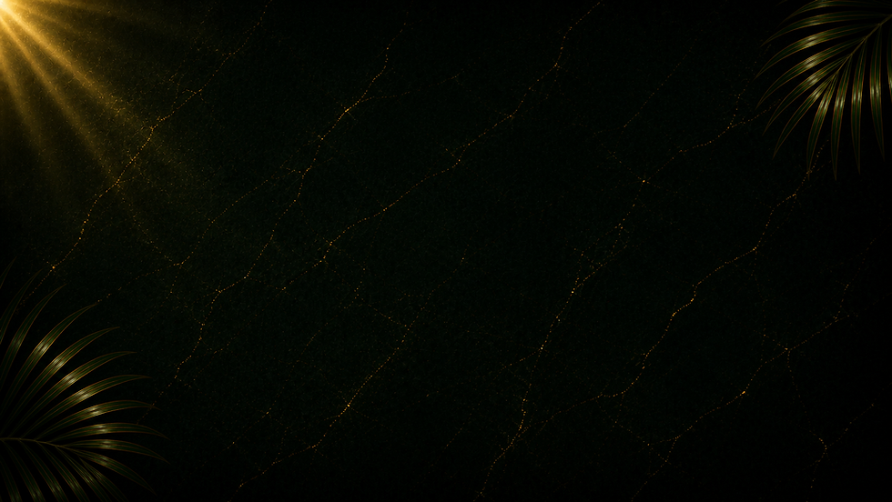 5ac3a9d3-c827-4b17-913f-19893f9da5bf.png
