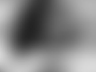 In Memory of Inge Robinson