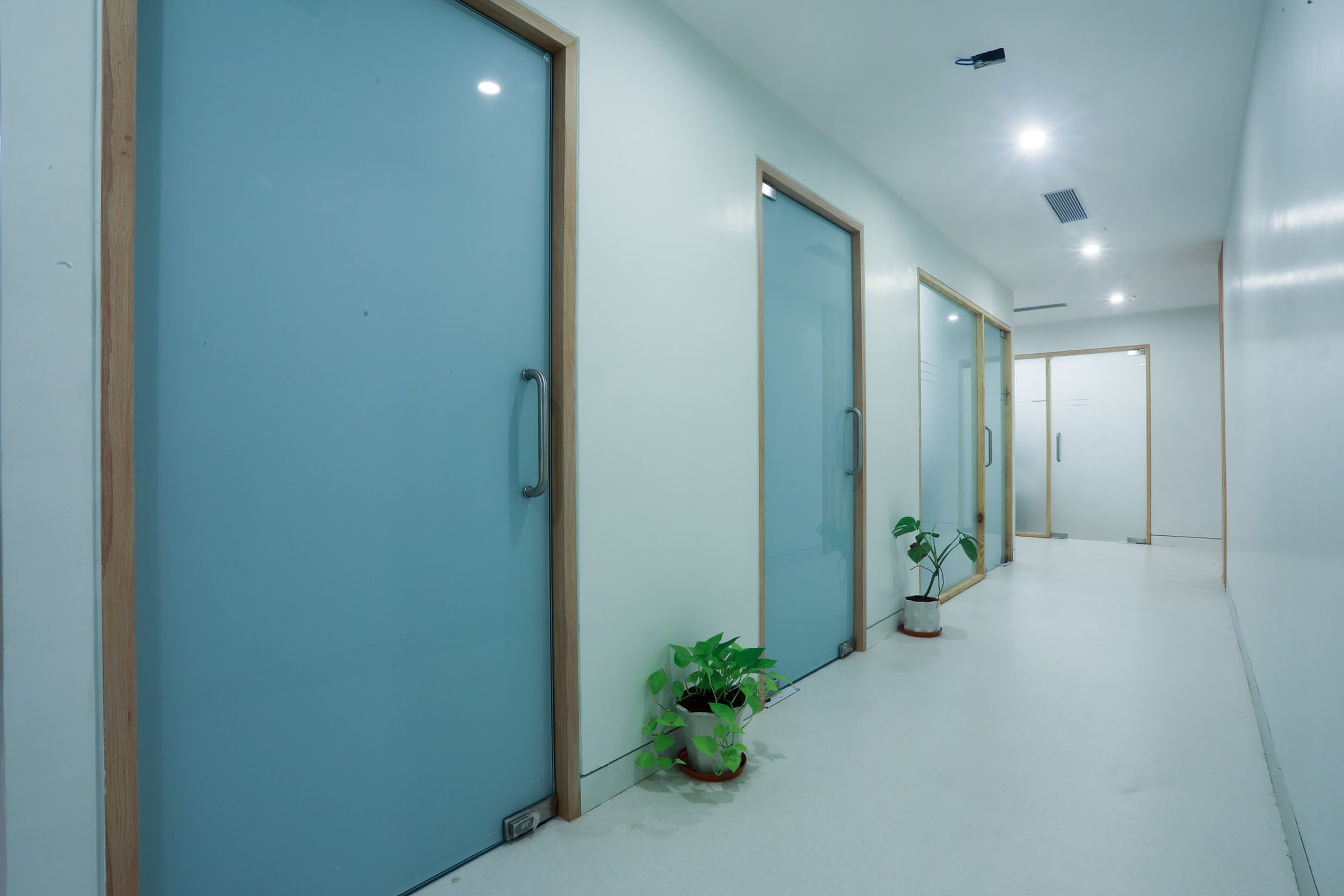 Monaris skin and hair clinic Indore
