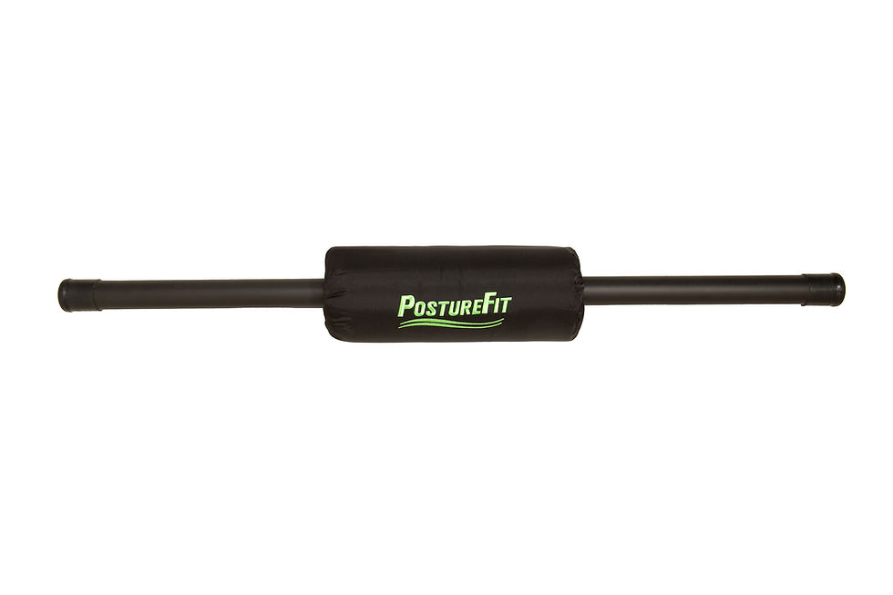 PostureFit exercise equipment with the PostureFit logo in the middle.