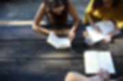 Outdoor Study Group