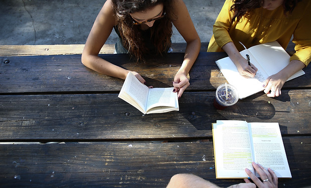 Outdoor Study Group