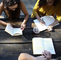 Outdoor Study Group
