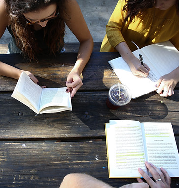 Outdoor Study Group